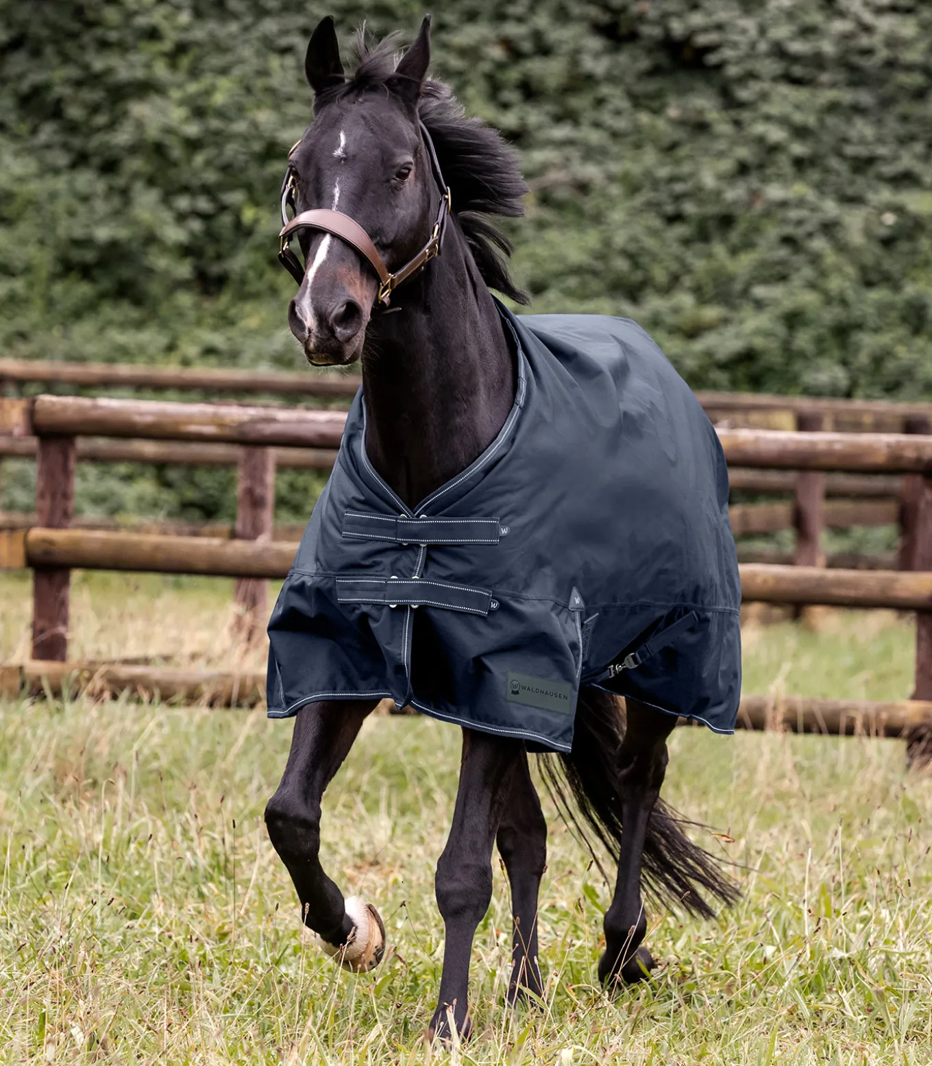 ARCTIC Outdoordecke, 300 g