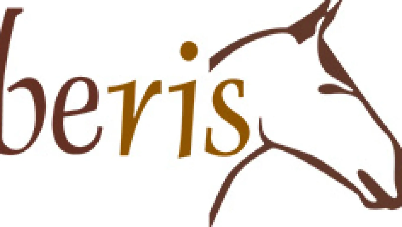 beris Olivenkopfgebiss, Stange