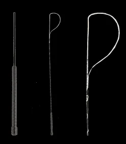 Bogenpeitsche Fiberglas