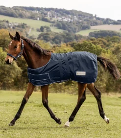 COMFORT Regen-Fohlendecke