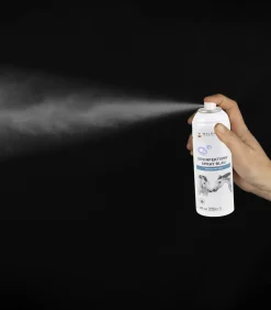 Desinfektions-Spray, 200 ml