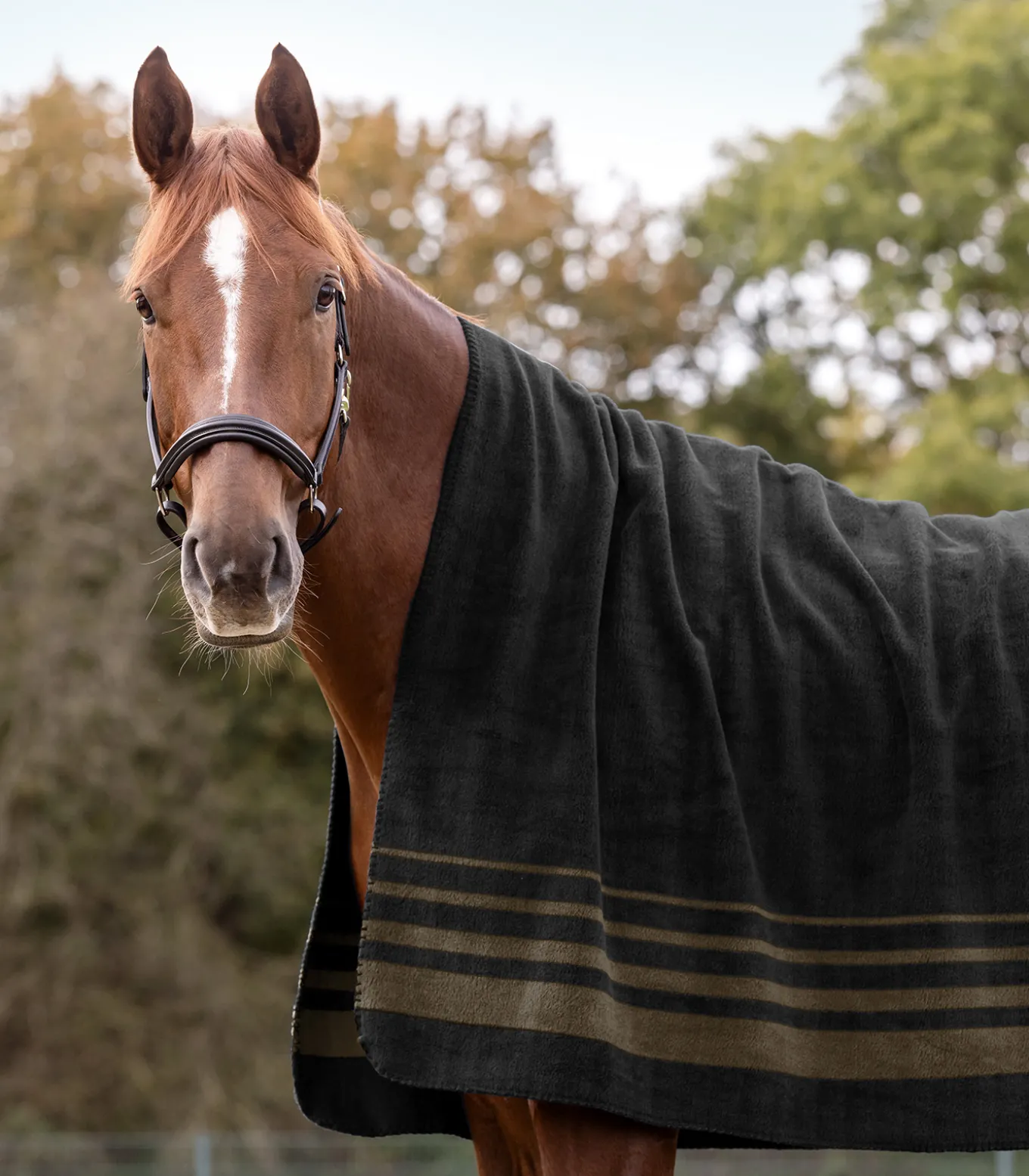 Dicke Fleecedecke Sölden