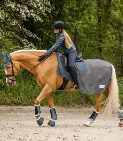 Dressurgamasche Pegasus