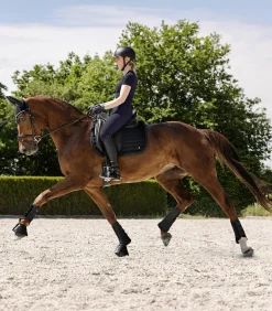 Dressurgamasche Rimini