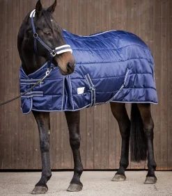 ECONOMIC Stalldecke, 200 g