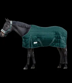 ECONOMIC Stalldecke, 100 g