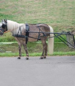 Einspänner Geschirr Economic, Pony und Shetty
