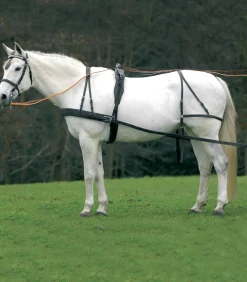 Einspänner Geschirr Economic, VB und WB
