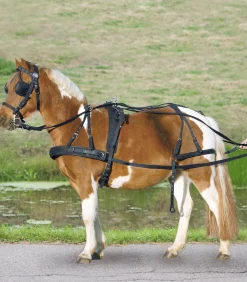 Einspänner Synthetikgeschirr, Pony und Shetty