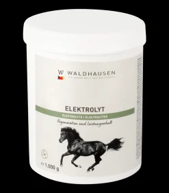 Elektrolyt - Regeneration und Leistungserhalt, 1kg