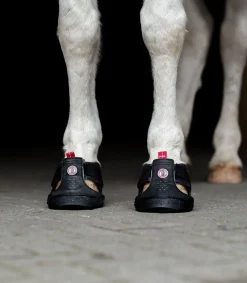 Equine Fusion® Trekking Shoe