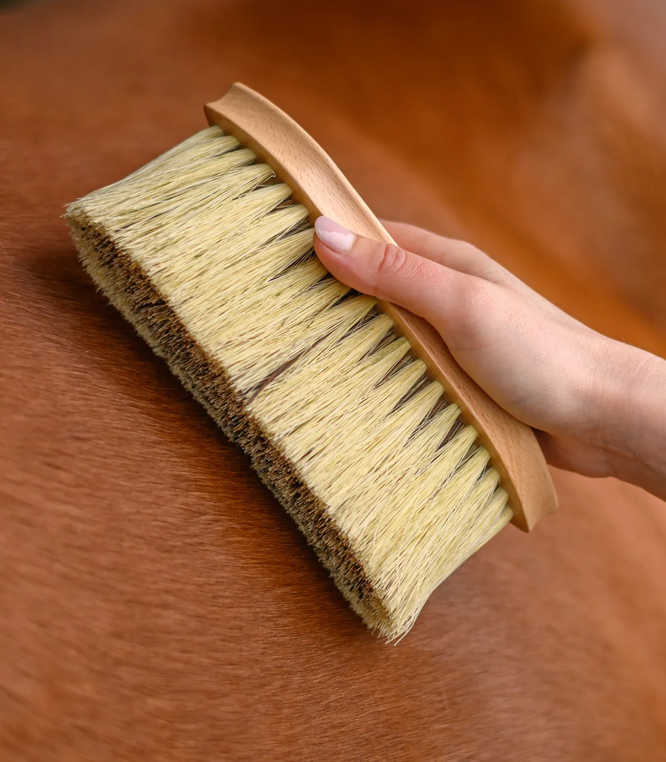 Exclusive Line Fellbürste