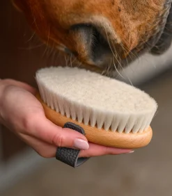 Exclusive Line Kopfkardätsche