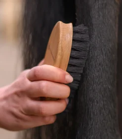 Exclusive Line Schmutzbürste