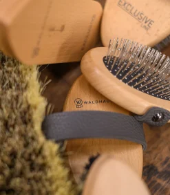 Exclusive Line Schmutzbürste