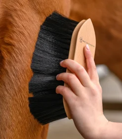 Exclusive Line Staubbürste