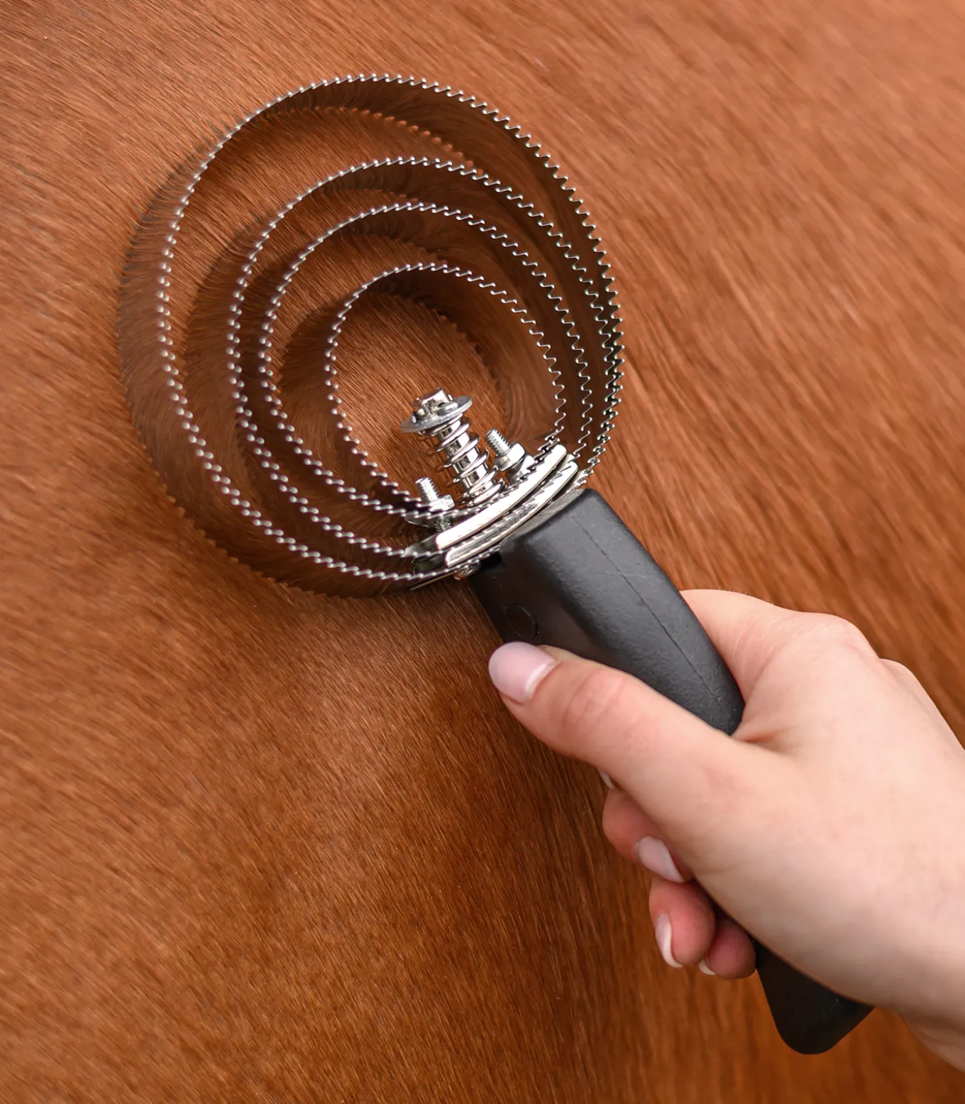 Federstriegel 4-fach