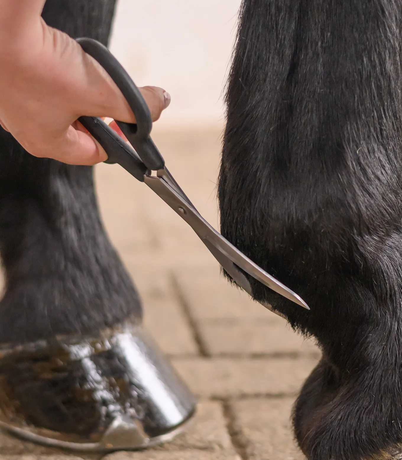 Fesselschere, gebogen