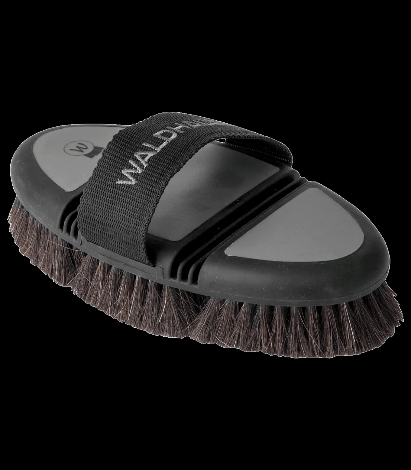 Flex Kardätsche, Rosshaar