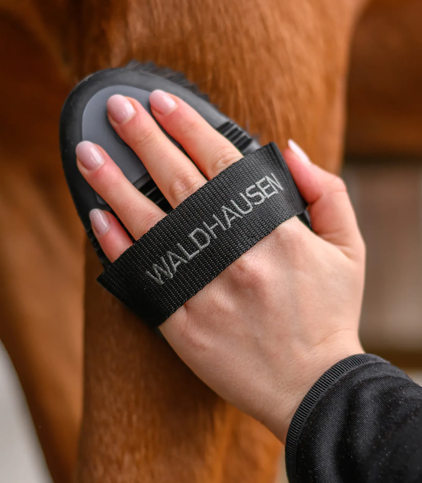 Flex Kardätsche, Rosshaar