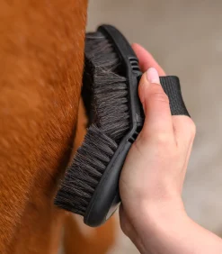 Flex Kardätsche, Rosshaar