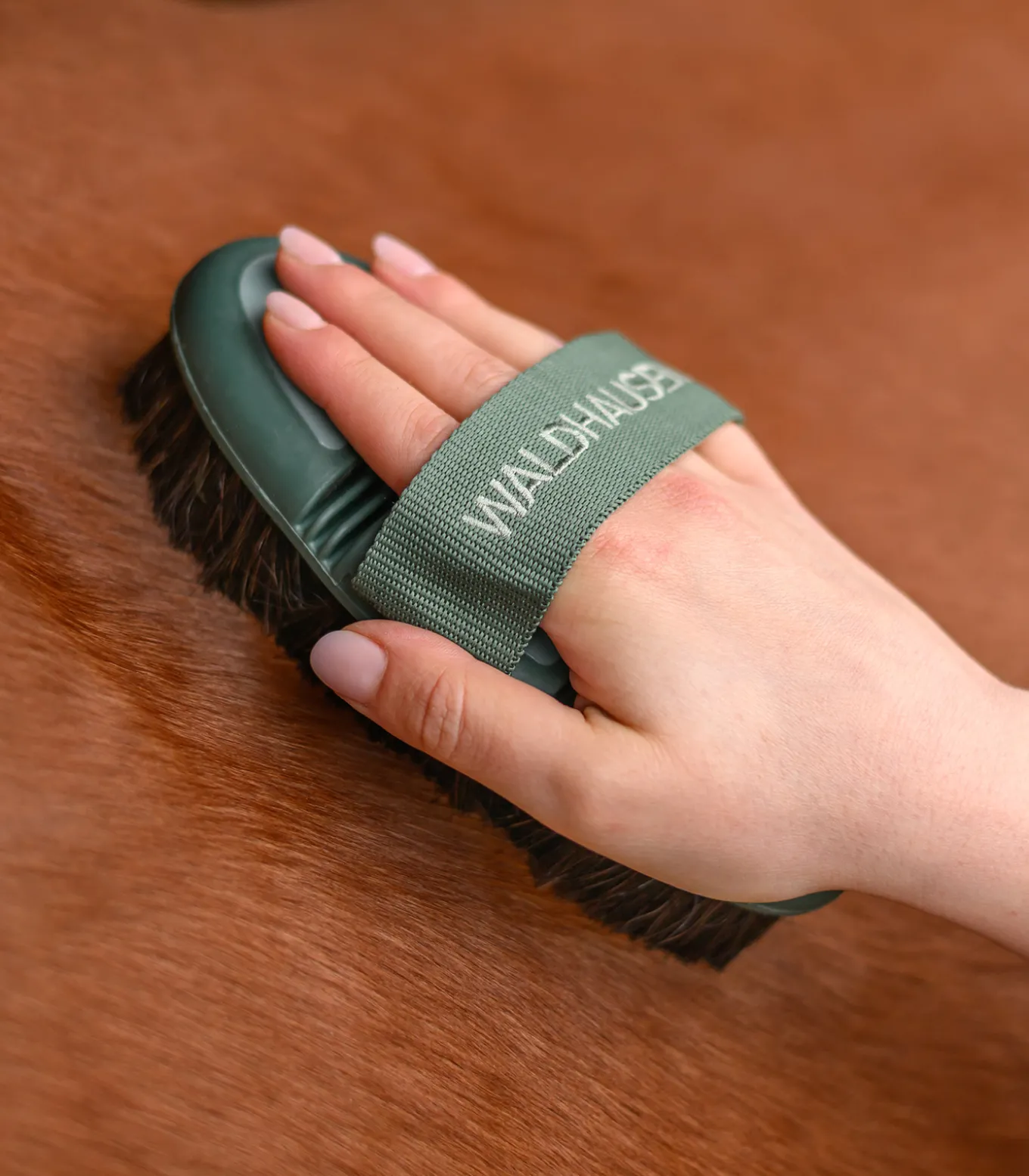 Flex Kardätsche, Rosshaar