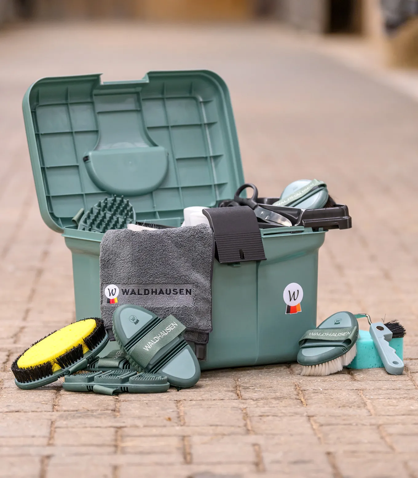 Flex Kardätsche, Rosshaar