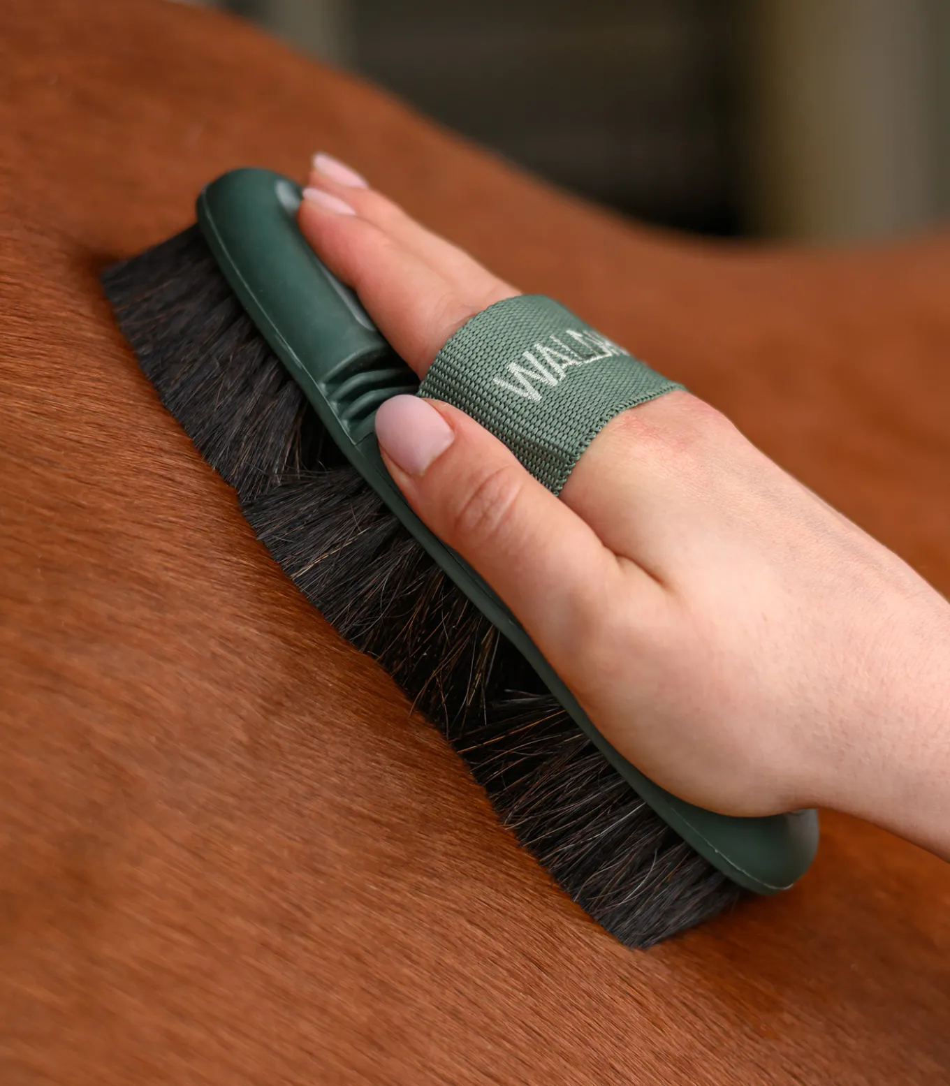 Flex Kardätsche, Rosshaar