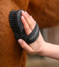 Flex Kardätsche, weiche Synthetikborsten