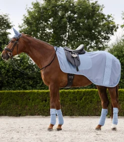 Fliegen - Ausreitdecke Rom