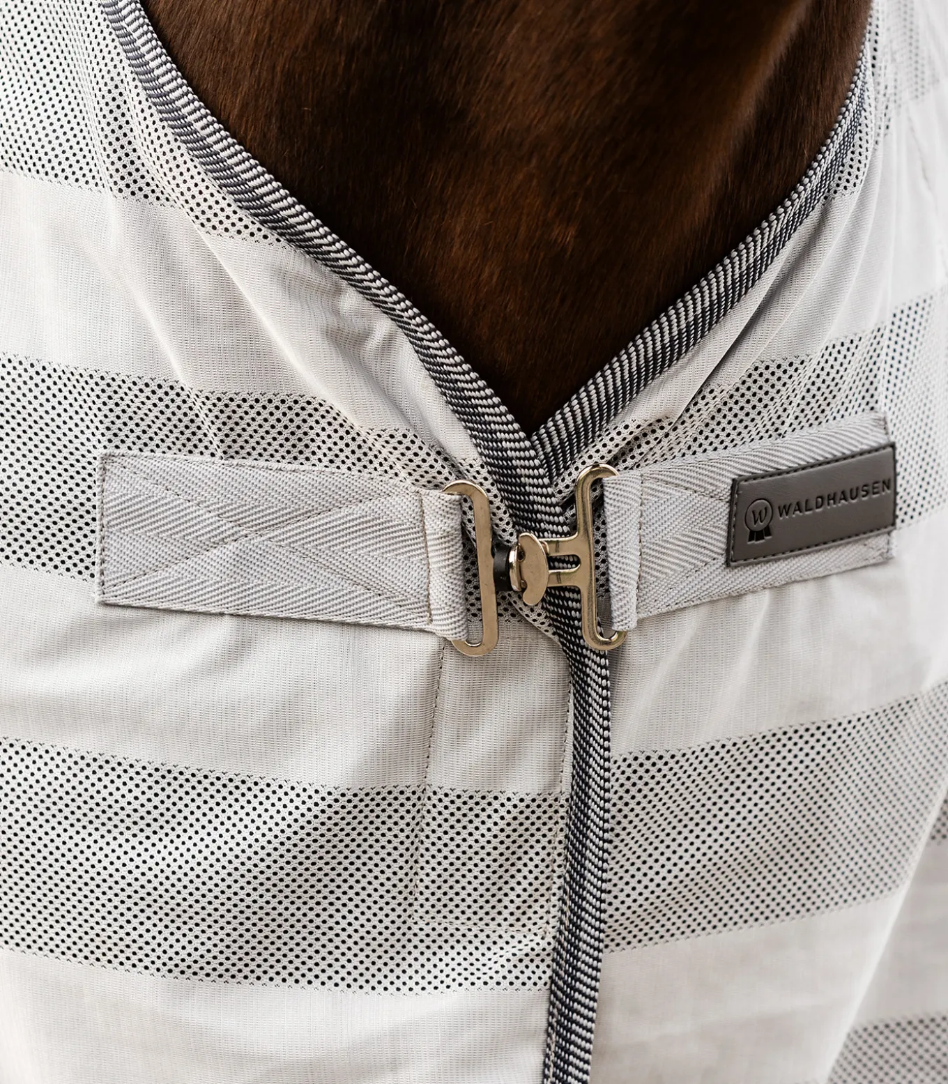 Fliegendecke Economic