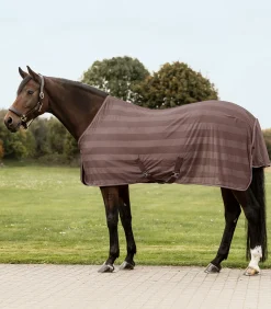 Fliegendecke Economic