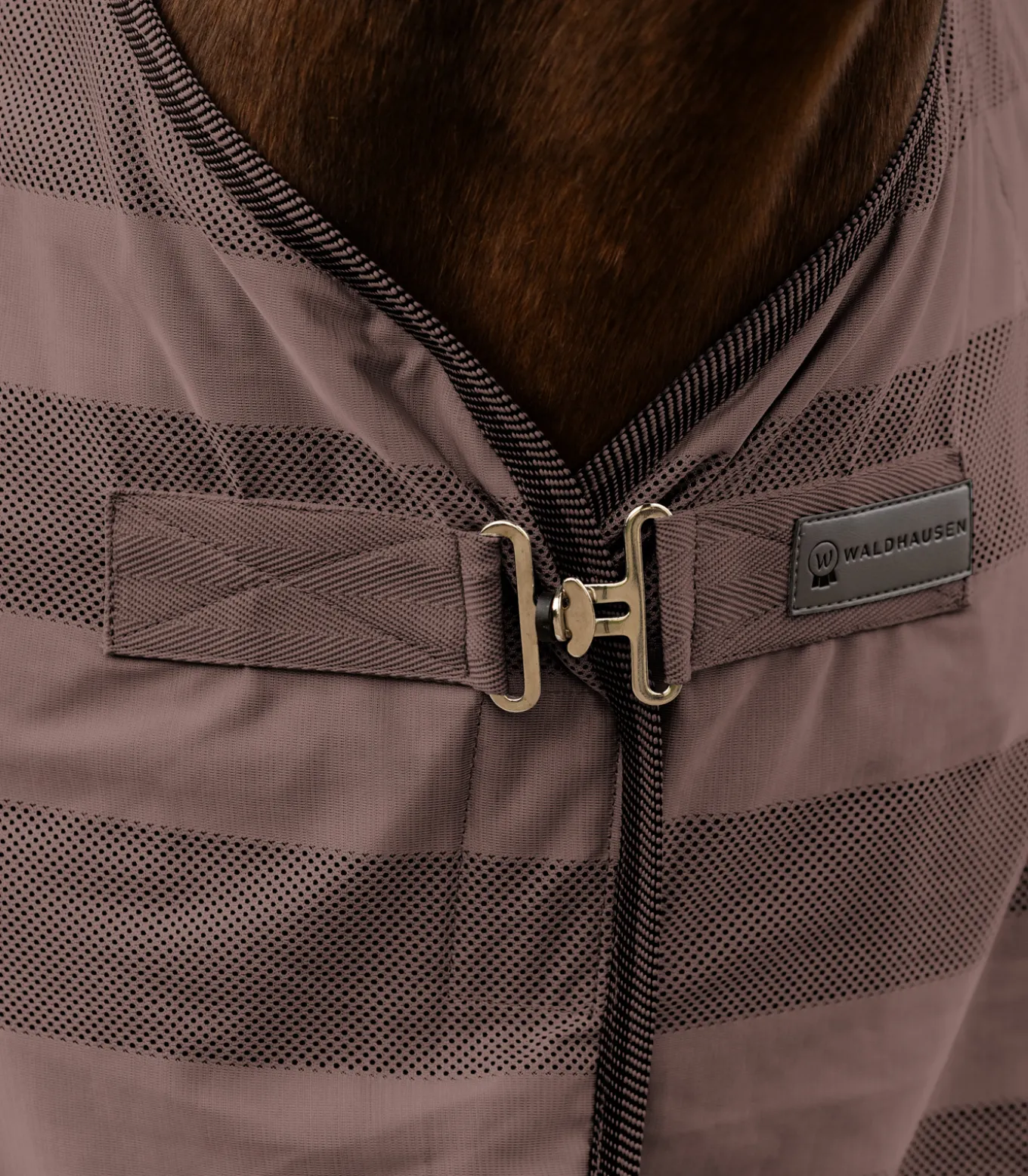 Fliegendecke Economic