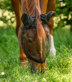 Fliegenmaske Basic, mit Ohrenschutz