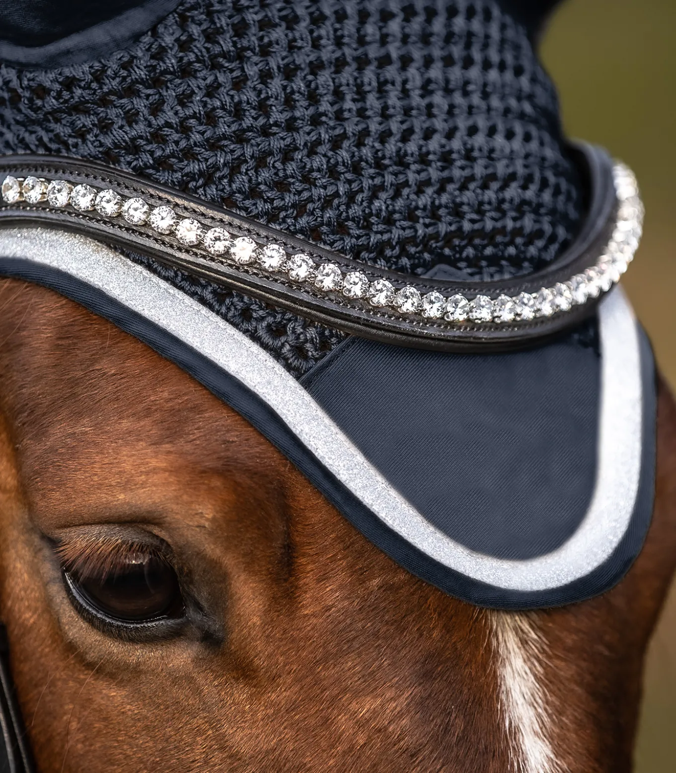 Fliegenohren Competition