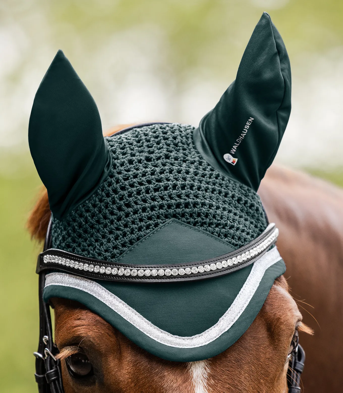 Fliegenohren Competition