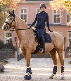 Fliegenohren Modern Rosé