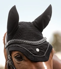 Fliegenohren St. Gallen