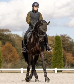 Fliegenohren St. Gallen