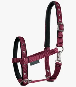 Fohlenhalfter Comfort