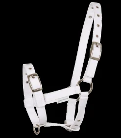 Fohlenhalfter Triple