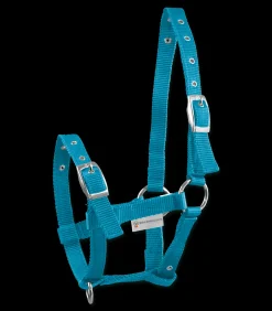 Fohlenhalfter Triple