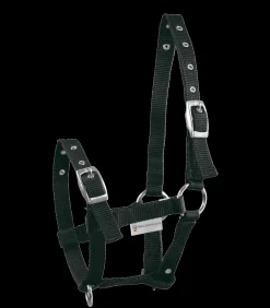 Fohlenhalfter Triple