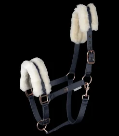 Halfter Modern Rosé