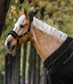 Halfter Modern Rosé