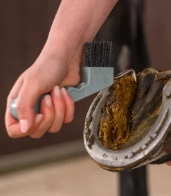 Hufkratzer mit Magnet