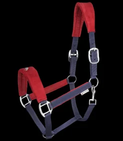 Island Halfter Hellnar