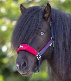 Island Halfter Hellnar