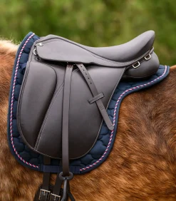 Island Satteldecke Landsmót