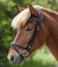 Island Trensenzaum Rose